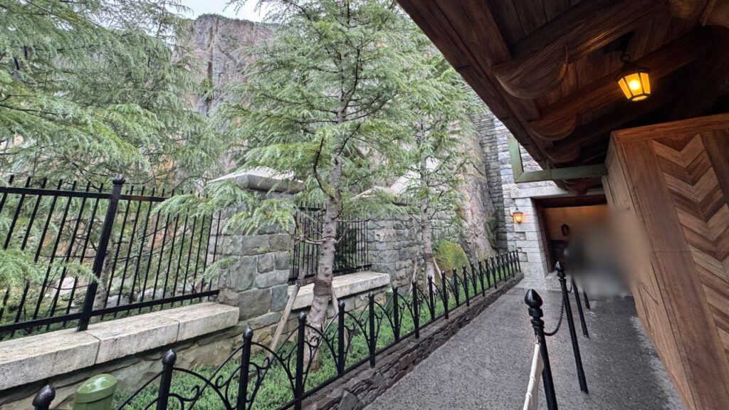 アナとエルサのフローズンジャーニー、シングルライダーの待ち列