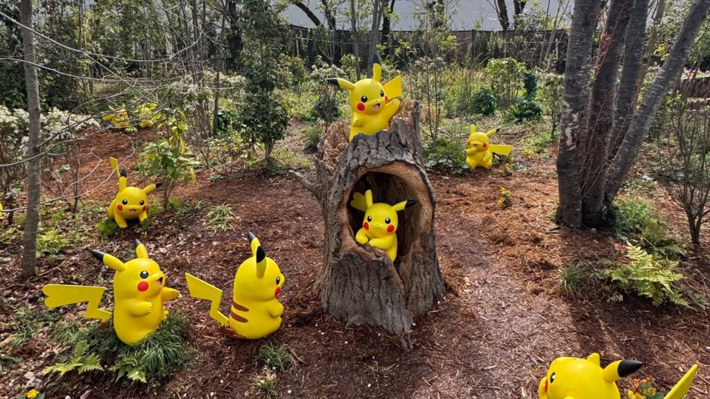 ポケパークカントー ポケモンフォレストの様子